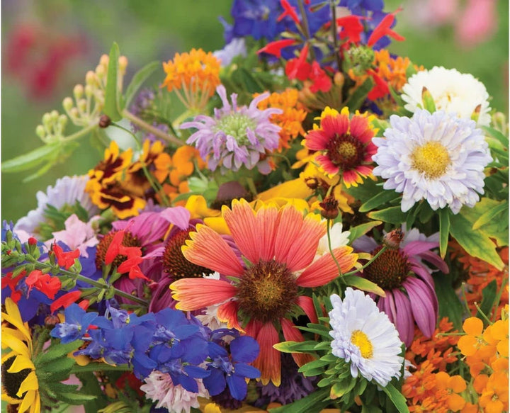 Flower Seeds, Seeds,Seeds For Planting,Plant Seeds