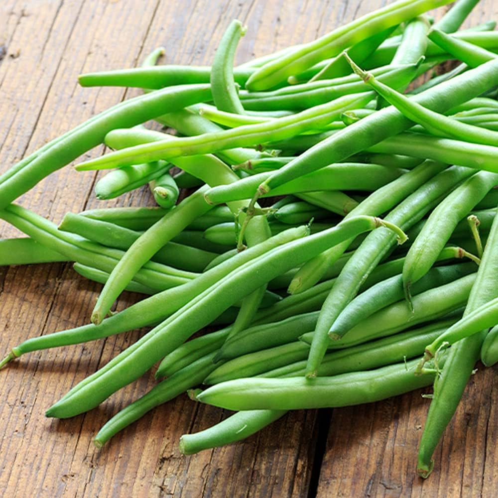 Green Snap Bean Seeds for Planting – Heirloom Non-GMO Crisp Vegetable Seeds with High Germination for Organic Gardens