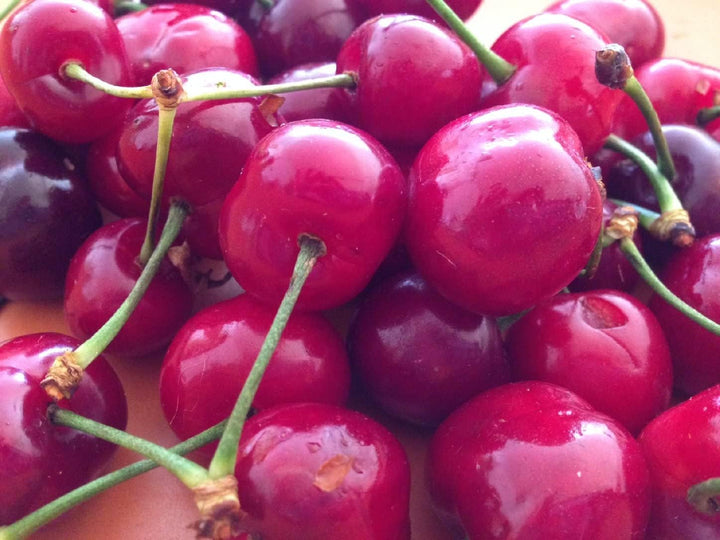 Fruit Seeds,Garden seeds, Seeds For Planting,Plant Seeds
