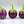 Vegetable Seeds,Garden seeds, Seeds For Planting,Plant Seeds