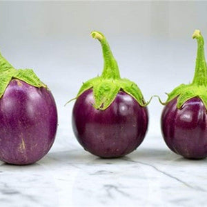 Vegetable Seeds,Garden seeds, Seeds For Planting,Plant Seeds