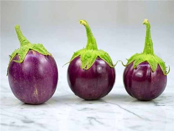 Vegetable Seeds,Garden seeds, Seeds For Planting,Plant Seeds