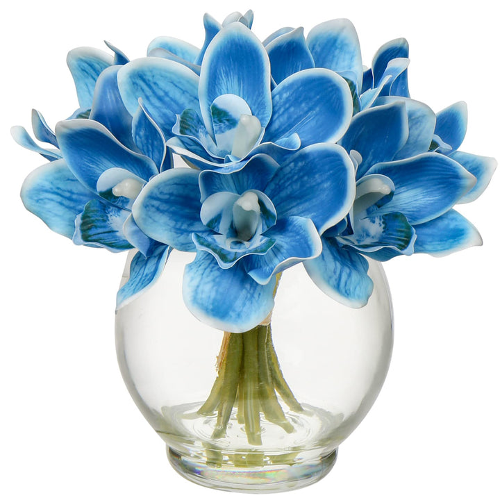 Blue Mix Cymbidium Flower Seeds for Planting Heirloom Non-GMO High Germination