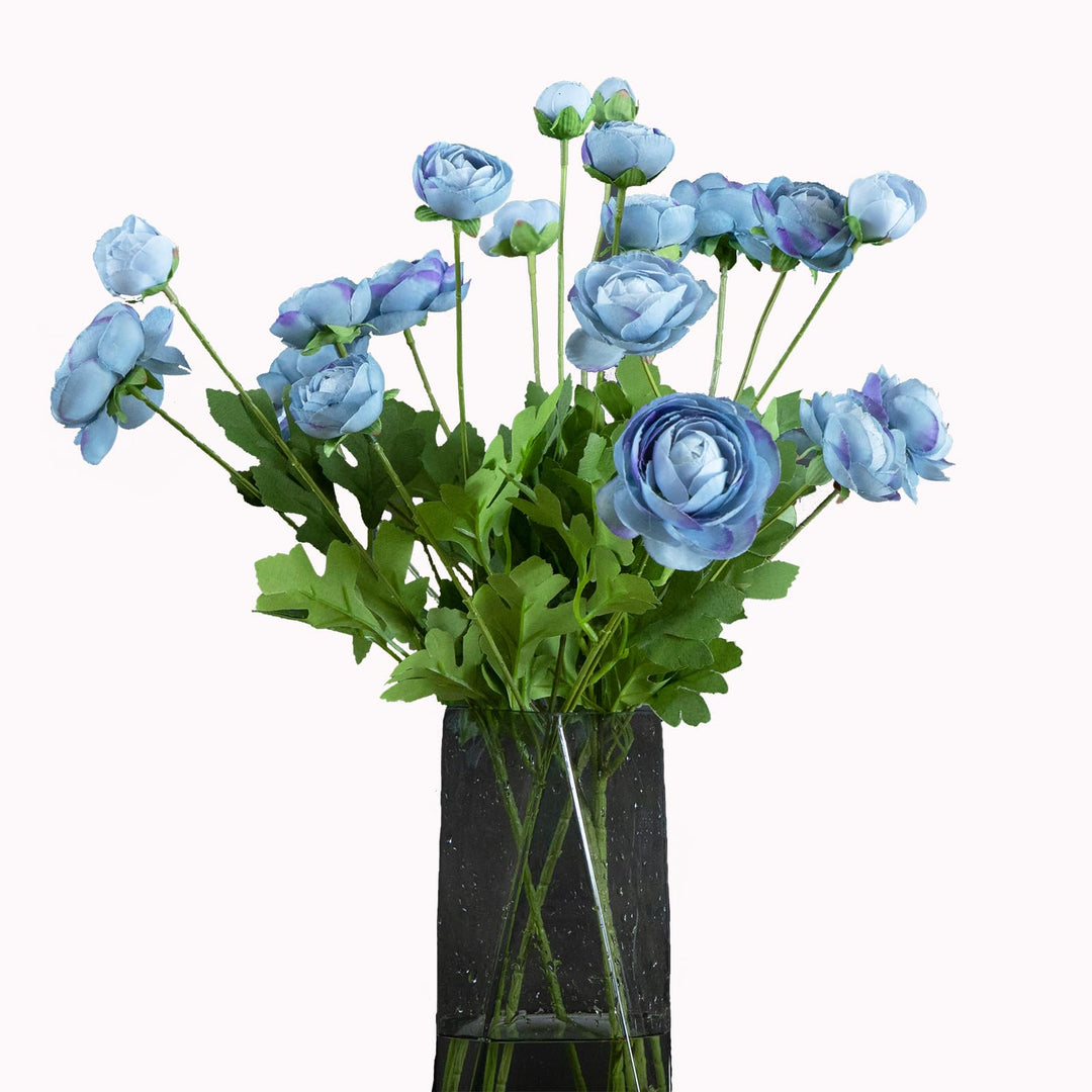 Blue Ranunculus Flower Seeds for Planting – Heirloom, Non-GMO, High Germination Organic Garden Seeds