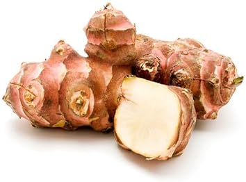 Vegetable Seeds,Garden seeds, Seeds For Planting,Plant Seeds