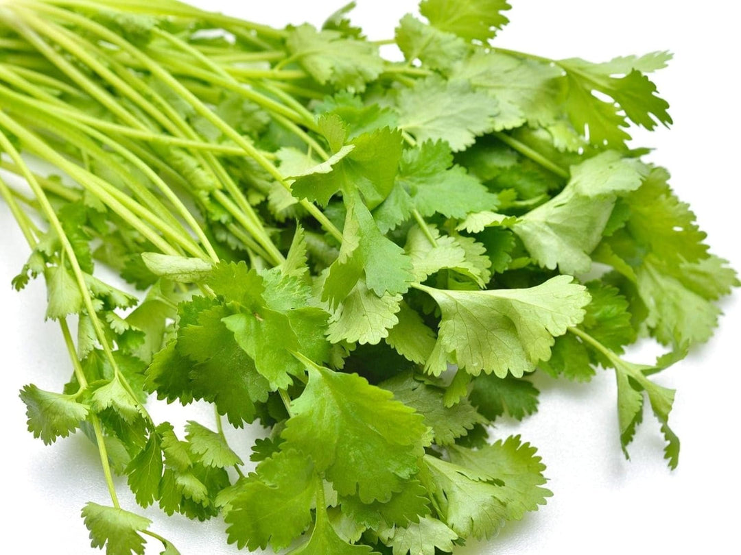 Herb Seeds,Garden seeds, Seeds For Planting,Plant Seeds