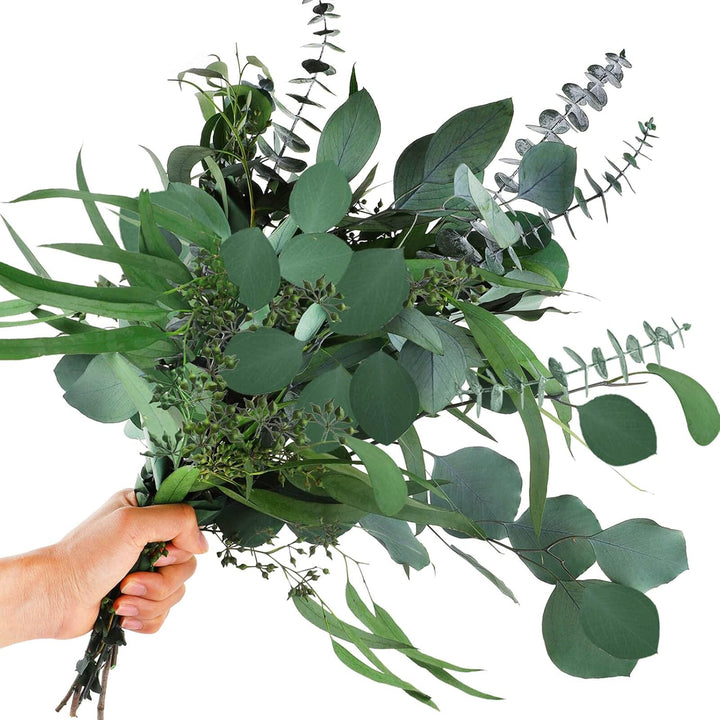 Flower Seeds, Seeds,Seeds For Planting,Plant Seeds