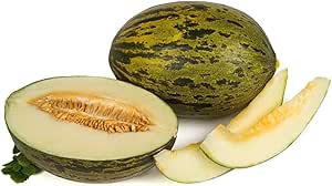 Melon Pinonet fruit seeds for planting - Heirloom & Non-GMO garden seeds for tropical refreshing harvests
