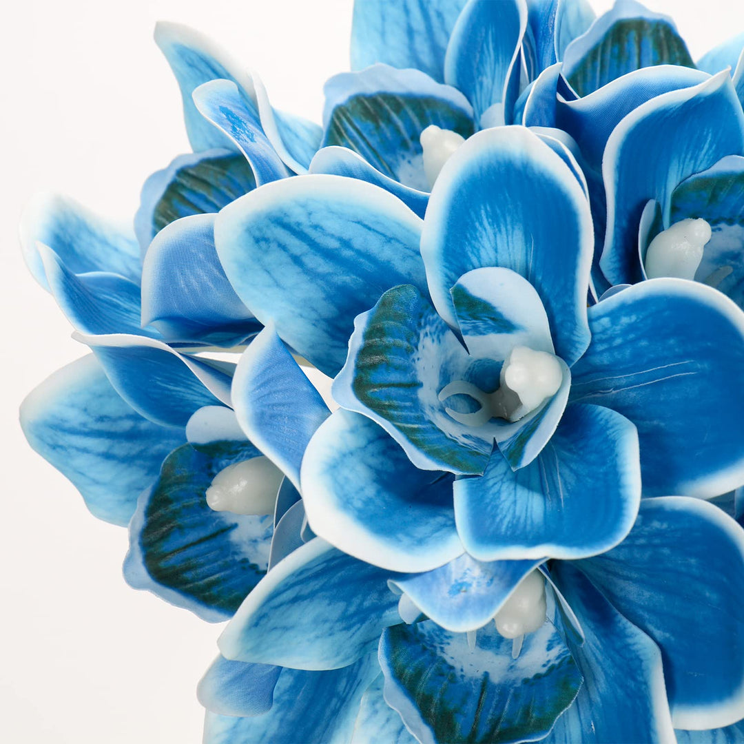 Blue Mix Cymbidium Flower Seeds for Planting Heirloom Non-GMO High Germination