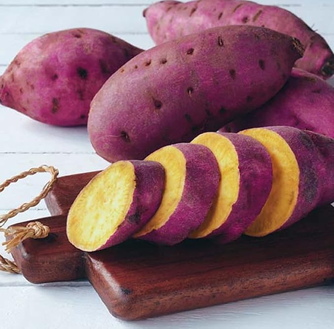 Dark Pink Sweet Potato Seeds for Planting – Heirloom Non‑GMO High Germination Organic Garden Seeds for High‑Yield