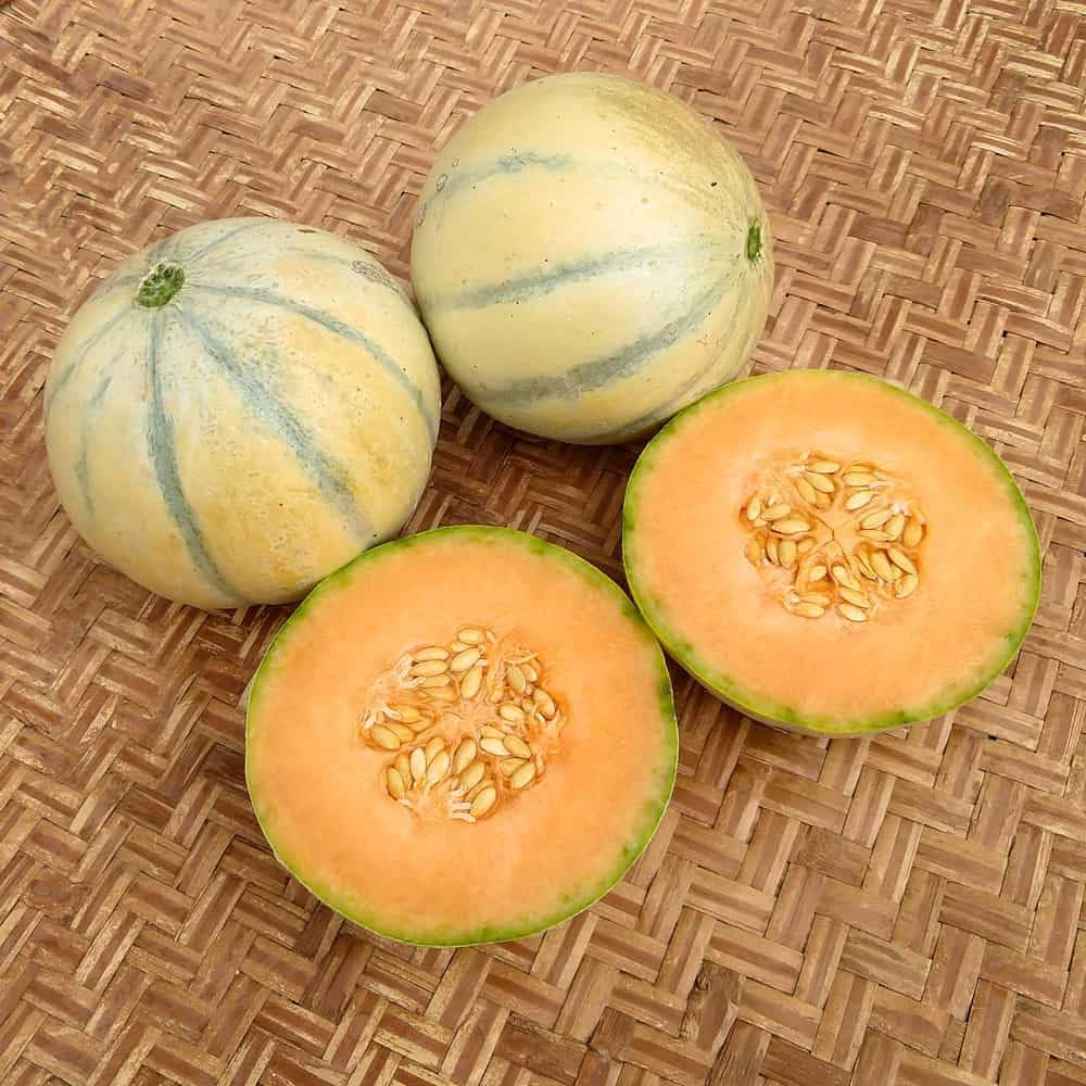 Vegetable Seeds,Garden seeds, Seeds For Planting,Plant Seeds