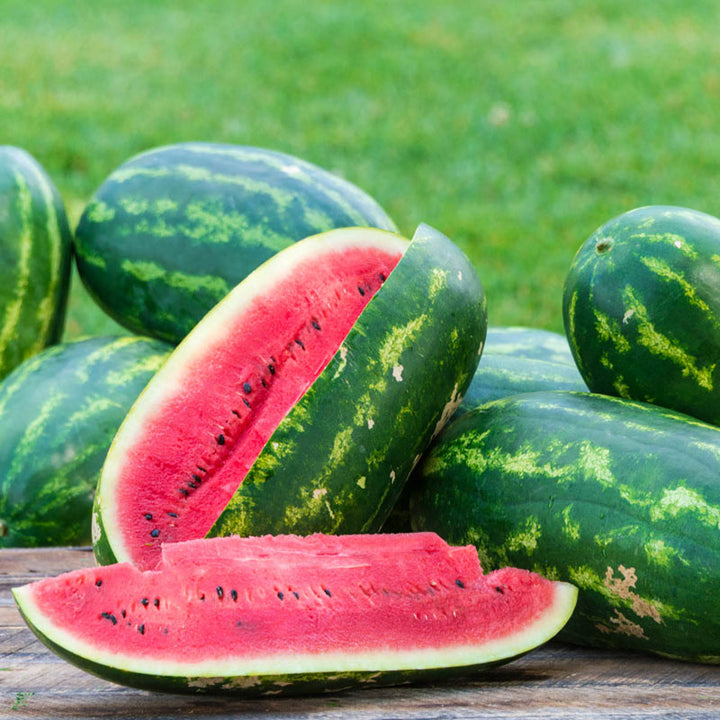Seeded Watermelon fruit seeds for planting – Heirloom & Non-GMO Garden seeds