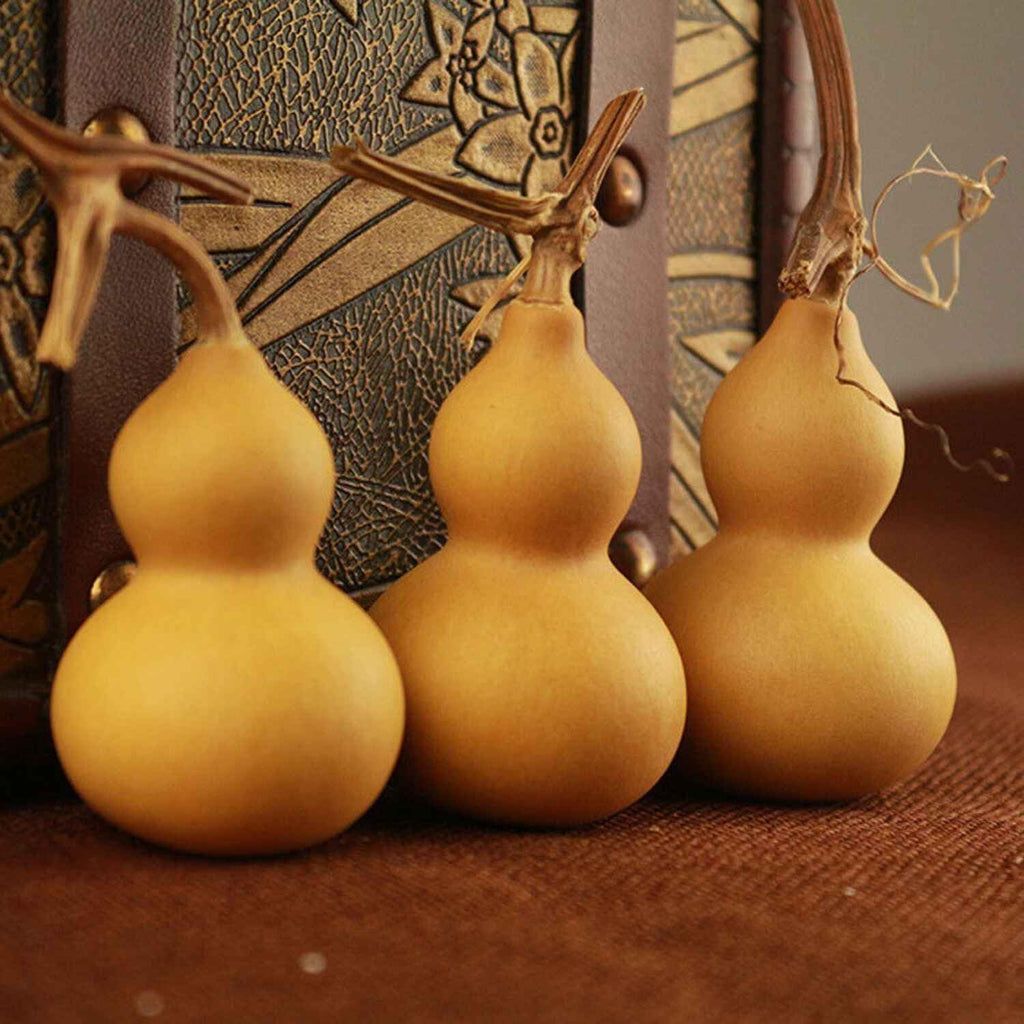 Brown Calabash Bottle Gourd seeds for planting - Heirloom & Non-GMO vegetable garden seeds