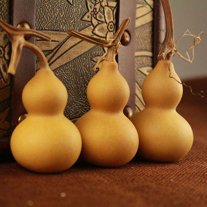 Brown Calabash Bottle Gourd seeds for planting - Heirloom & Non-GMO vegetable garden seeds