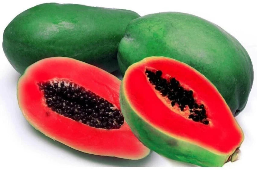 Fruit Seeds,Garden seeds, Seeds For Planting,Plant Seeds
