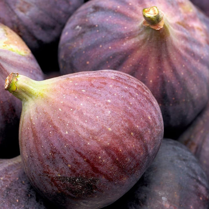 Fruit Seeds,Garden seeds, Seeds For Planting,Plant Seeds