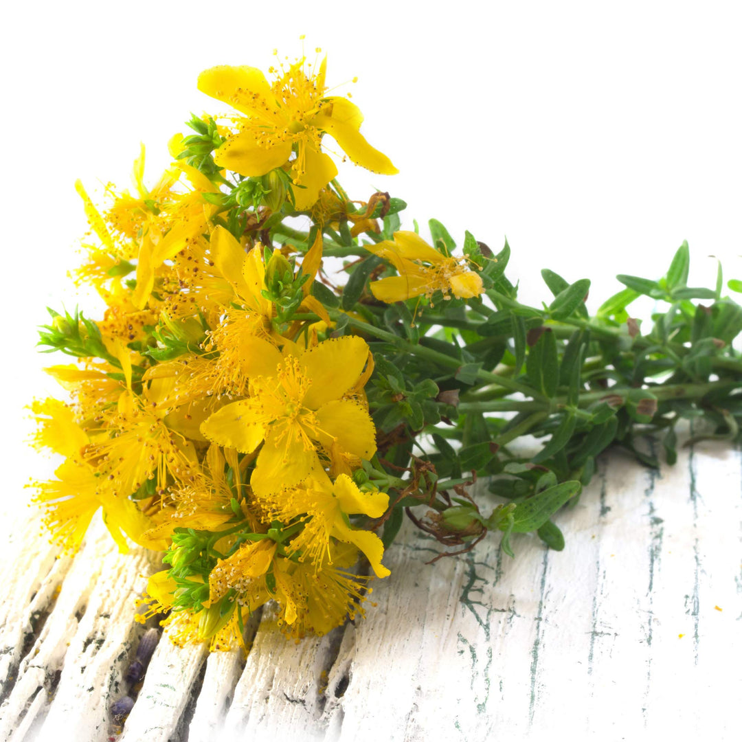 Flower Seeds, Seeds,Seeds For Planting,Plant Seeds