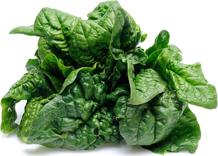 Vegetable Seeds,Garden seeds, Seeds For Planting,Plant Seeds