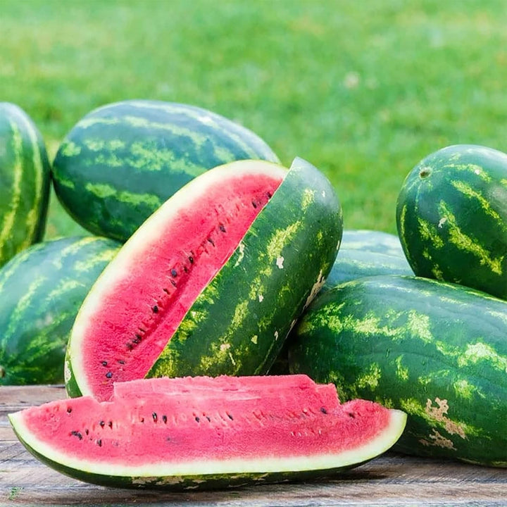 Rattlesnake Watermelon Fruit Seeds for Planting – Heirloom, Non-GMO Seeds for Striped Sweet Harvest