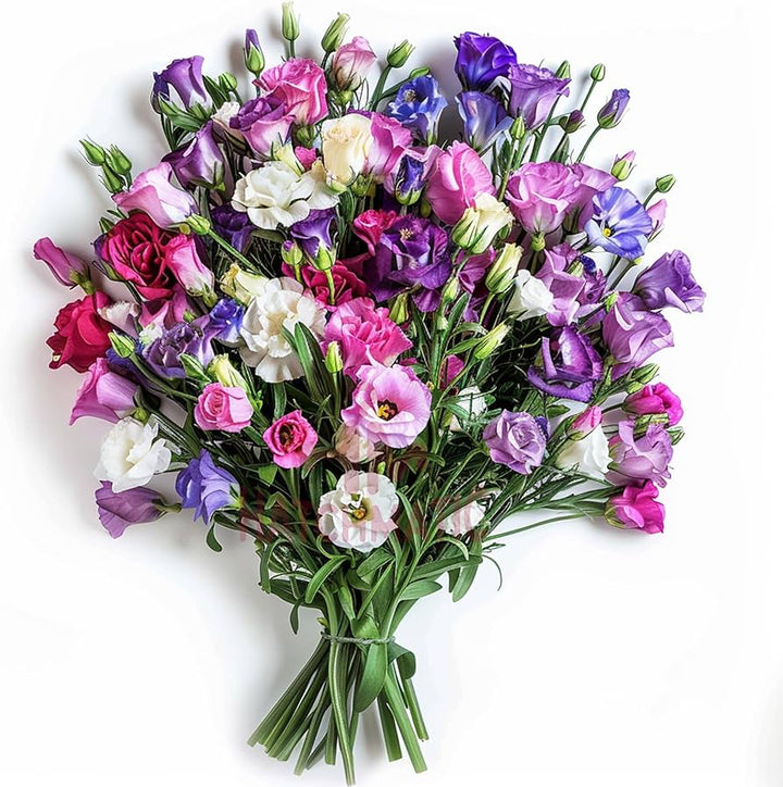 Flower Seeds, Seeds,Seeds For Planting,Plant Seeds