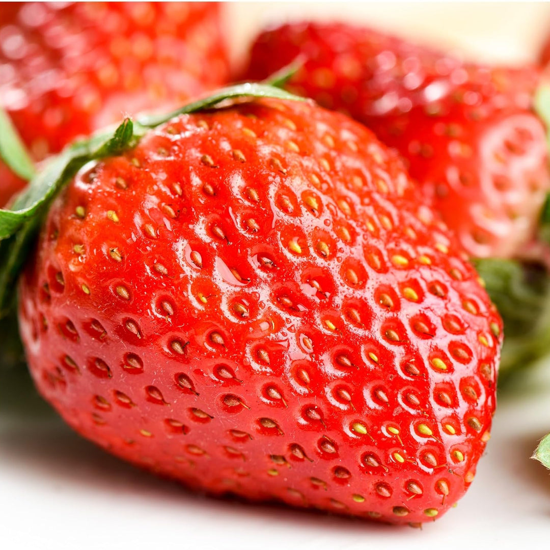 Vibrant Ozark Beauty Strawberry fruit seeds for planting - Heirloom & Non-GMO Garden seeds, juicy backyard berries