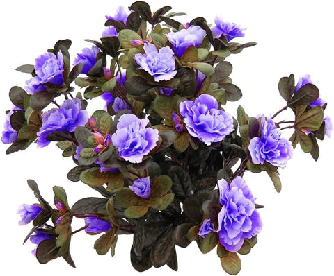 Flower Seeds, Seeds,Seeds For Planting,Plant Seeds