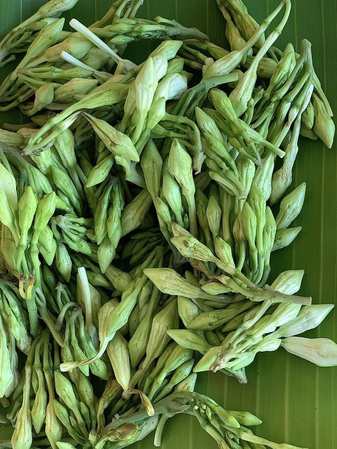 Flower Seeds, Seeds,Seeds For Planting,Plant Seeds