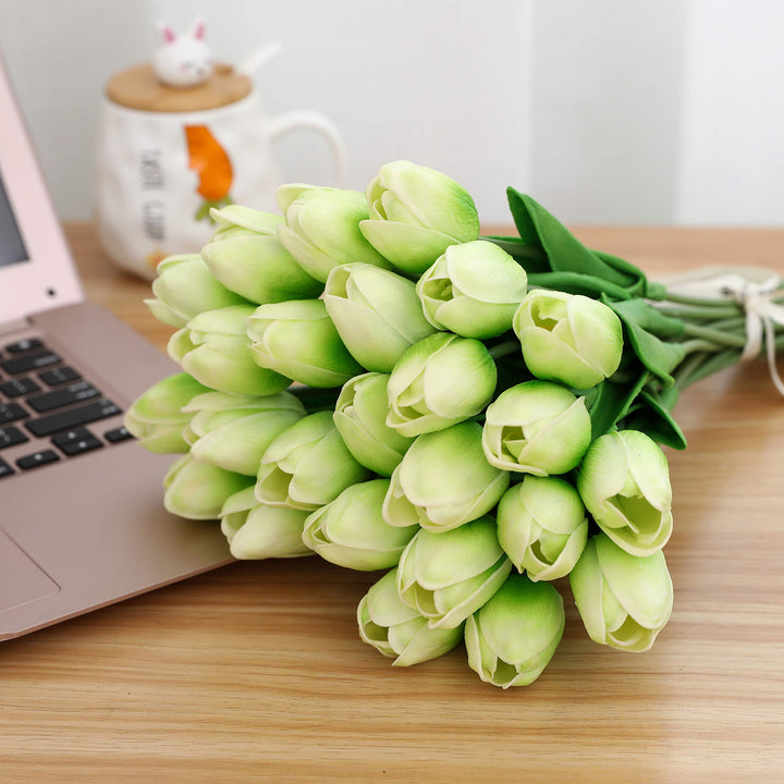 Light Green Tulip Flower Seeds for Planting – Bright Blooms, Heirloom & Non-GMO Seeds