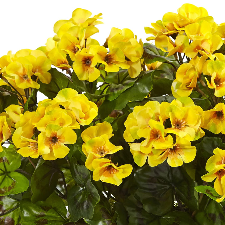 Dark Yellow Geranium Flower Seeds for Planting – Heirloom, Non-GMO, High Germination Organic Garden Seeds