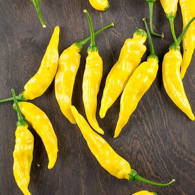Pepperoncini Seeds for Planting – Heirloom, Non-GMO, Mild Italian Pickling Pepper – High Germination