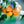 Fruit Seeds,Garden seeds, Seeds For Planting,Plant Seeds