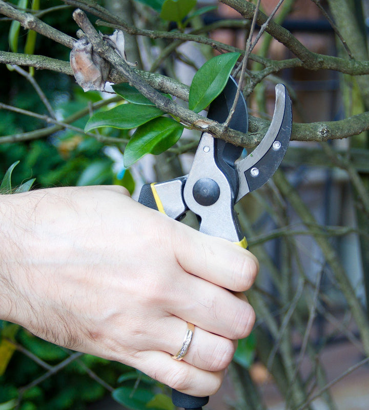 Bypass Pruning Shears – 5/8-Inch Cut, Rust-Resistant Steel Blades, Garden Clippers for Trimming