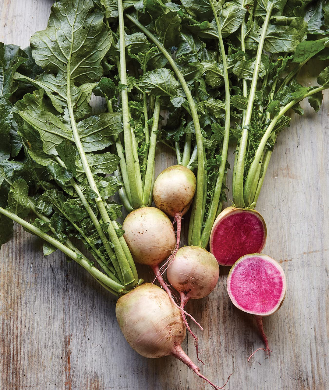 Watermelon Radish Vegetable Seeds for Planting – Heirloom &amp; Non-GMO Garden Seeds for Colorful, Crisp Roots