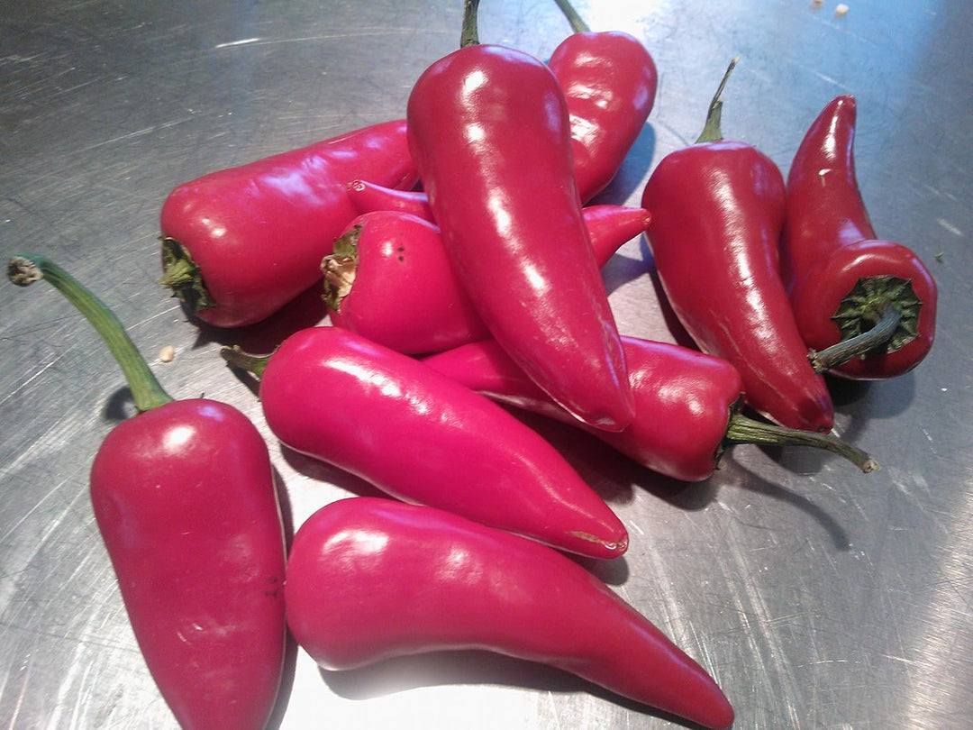 Vegetable Seeds,Garden seeds, Seeds For Planting,Plant Seeds