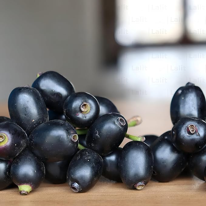 Jamun Seeds (Java Plum) – Fast-Growing Tropical Fruit Seeds for Garden Planting