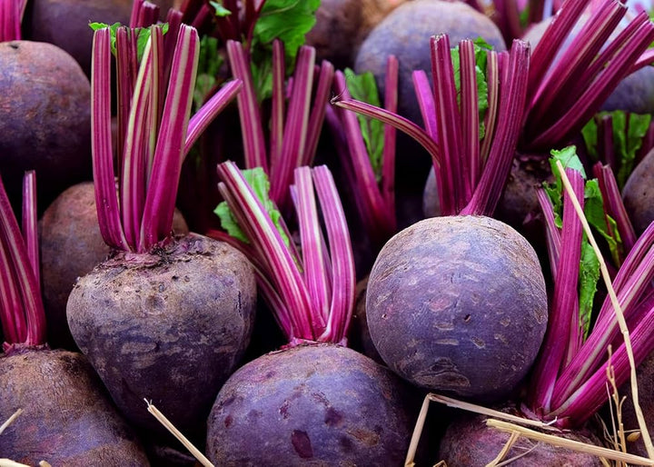 Violet Beetroot Vegetable Seeds for Planting – Heirloom & Non-GMO Seeds for Nutritious Root Harvests