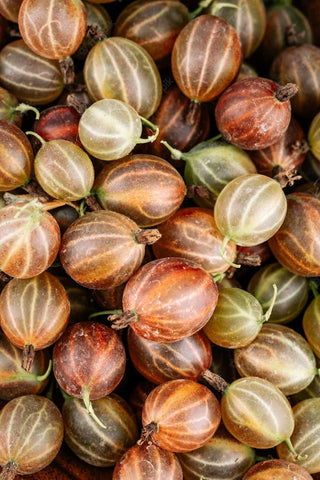Fruit Seeds,Garden seeds, Seeds For Planting,Plant Seeds