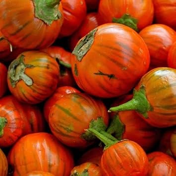 Vegetable Seeds,Garden seeds, Seeds For Planting,Plant Seeds