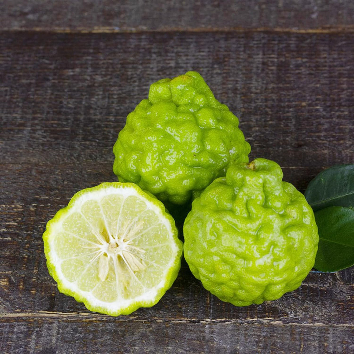 Bergamot Fruit Seeds for Planting – Heirloom & Non-GMO Garden seeds, aromatic fruits for flavorful garden harvests