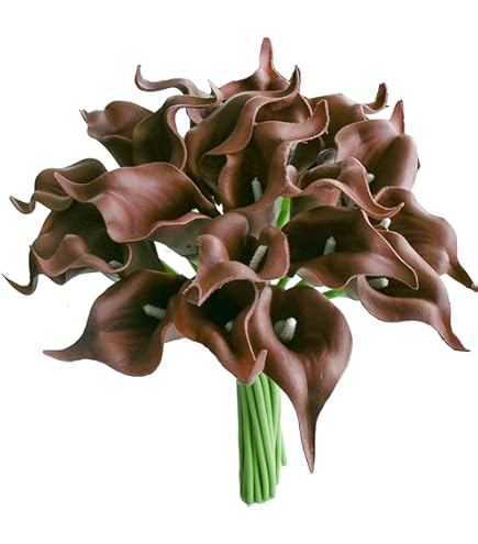 Brown Calla Flower Seeds for Planting – Heirloom Non-GMO High Germination Organic Garden Seeds