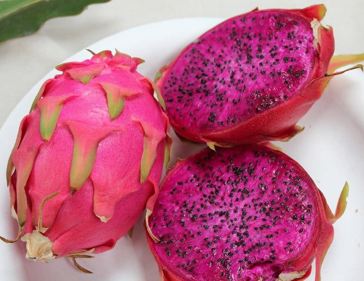 Purple Pitaya Fruit Seeds – Heirloom, Non-GMO Seeds for Vibrant Colorful Garden Planting