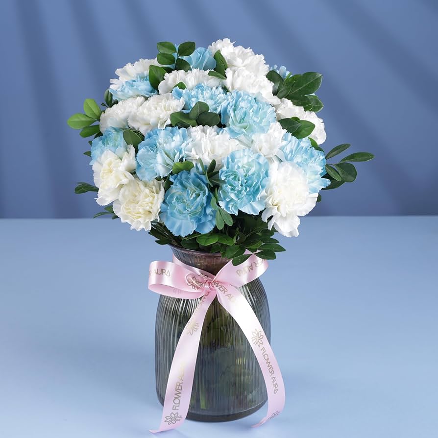 White Blue Carnation Flower Seeds for Planting – Colorful Display, Heirloom, Non-GMO Home Garden