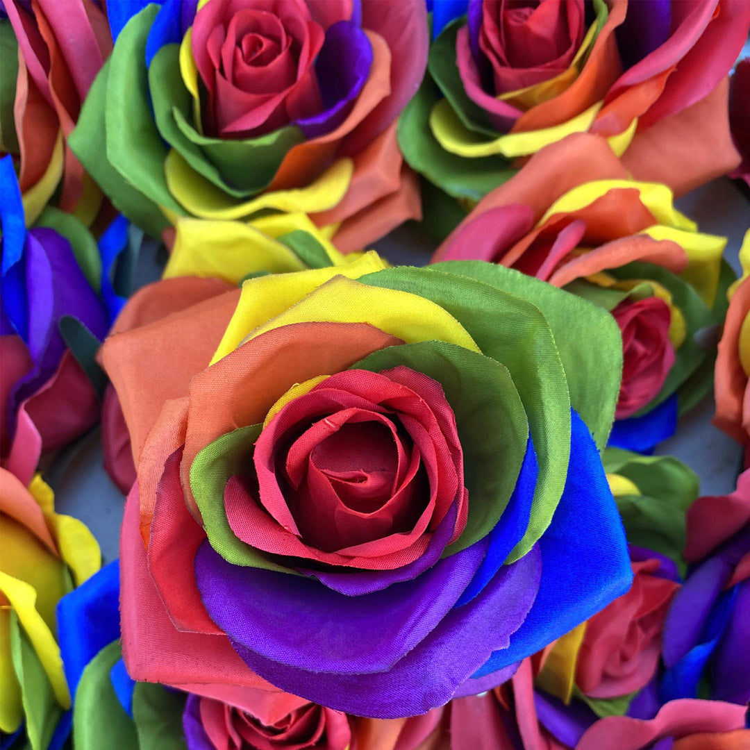 Red Rainbow Potted Rose Flower Seeds for Planting – Heirloom, Non-GMO, High Germination Organic Garden Seeds