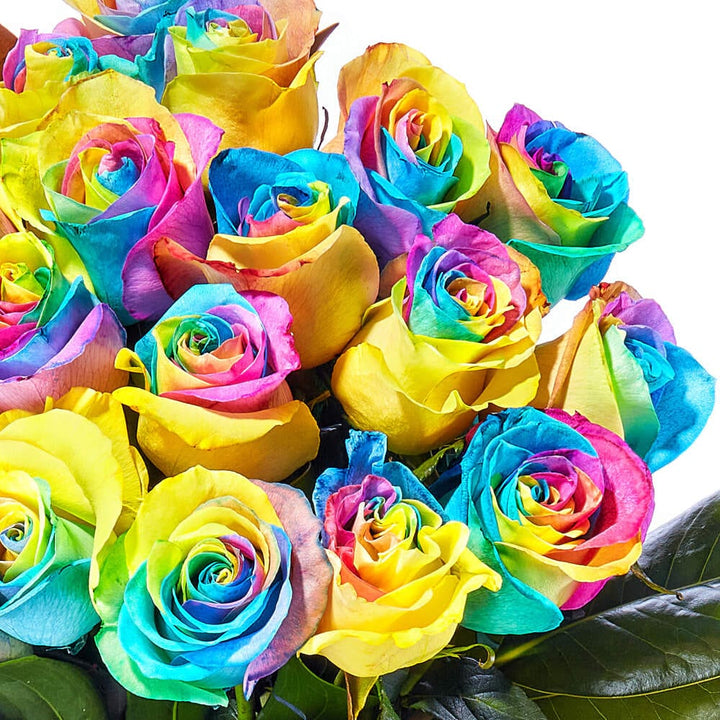 Multi-Color Rose Flower Seeds for Planting – Heirloom, Non-GMO, High Germination Organic Garden Seeds