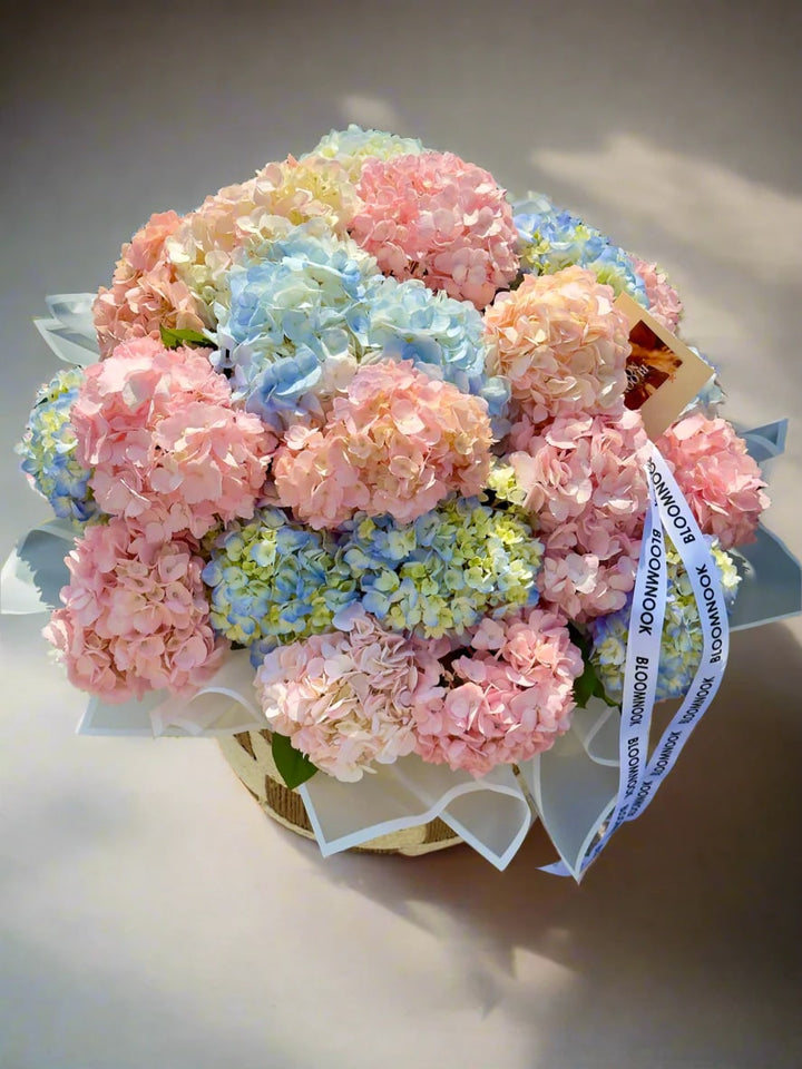 Mixed Hydrangea Flower Seeds for Planting – Heirloom, Non-GMO, High Germination Organic Garden Seeds