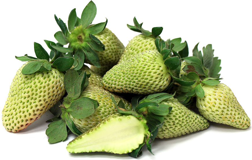 Light Green Strawberry Fruit Seeds for Planting – Heirloom Non-GMO Nutritious High Germination Organic Garden Seeds