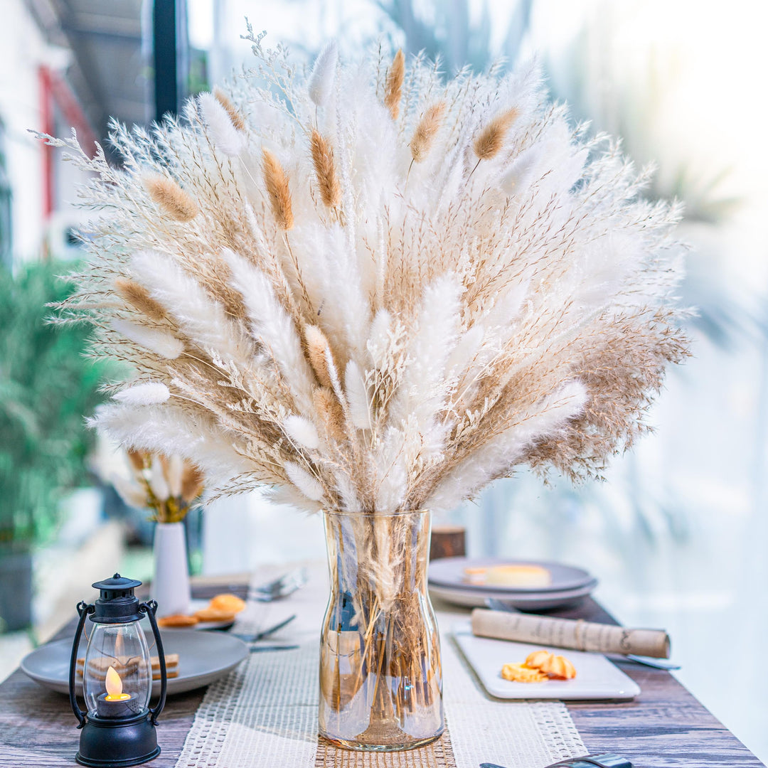 Pampas Flower seeds for Planting - Pollinator Friendly, Heirloom & GMO Free Seeds for Home Garden Non-GMO