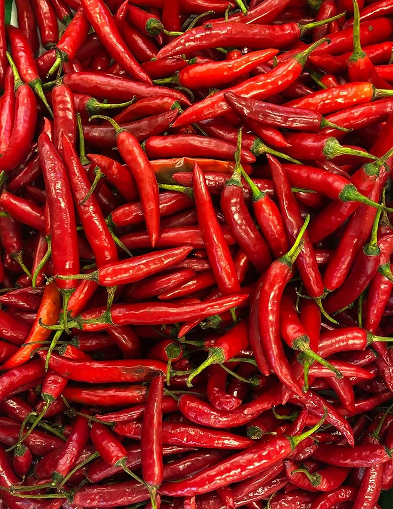Red Chili Vegetable Seeds for Planting – Heirloom & Non-GMO Seeds for Spicy Pepper Garden Harvests