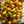 Aji Dulce Yellow Round Pepper Seeds – Heirloom Non-GMO Mild Sweet Chili Seeds for Planting