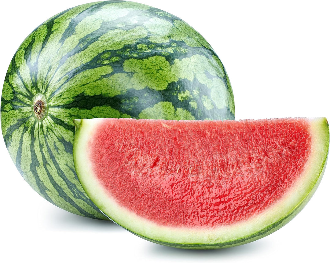 Densuke Watermelon Fruit seeds for planting – Heirloom & Non-GMO Garden seeds